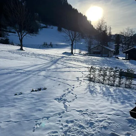 Flora Alpina - Residenza Bieltschocke *