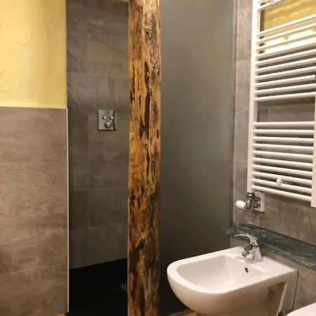 Flora Alpina - Residenza Bieltschocke *