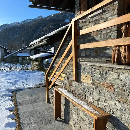 Flora Alpina - Residenza Bieltschocke 펜션